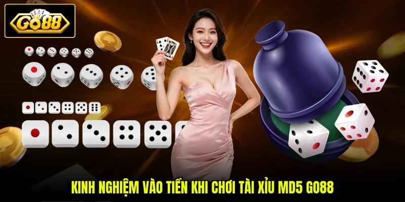 Kinh nghiệm vào tiền khi chơi tài xỉu MD5 GO88